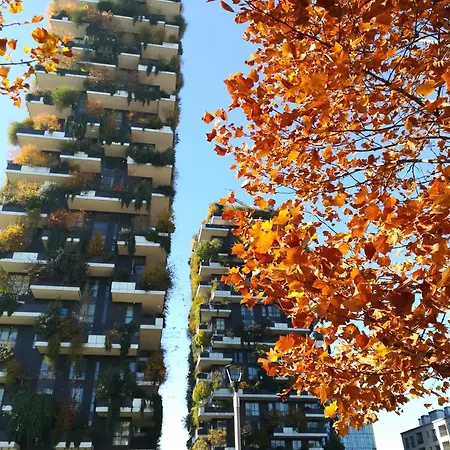 Apartman Ourjoy